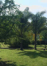 Foto 2 de la galería de PIEDRA BLANCA bungalows y cabañas en San José