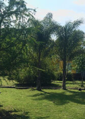 Foto 2 de la galería de PIEDRA BLANCA bungalows y cabañas en San José