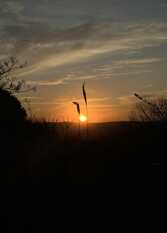 Foto 2 de la galería de Cabañas La Secreta en Villa Giardino