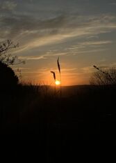 Foto 2 de la galería de Cabañas La Secreta en Villa Giardino