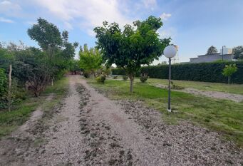 Foto 1 de la galería de Andino en San Rafael