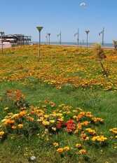 Foto 4 de Cabañas Vientos del Sur en Monte Hermoso