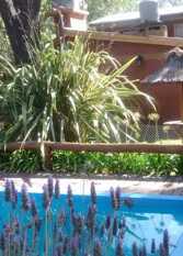 Foto 3 de la galería de Cabañas Vientos del Sur en Monte Hermoso