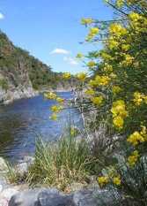 Foto 4 de Pozo Hermoso Complejo de Casas - Unión de los Ríos - Alpa Co en Alpa Corral