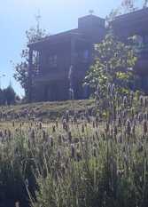 Foto 3 de la galería de Gemas Apart en Villa Yacanto De Calamuchita