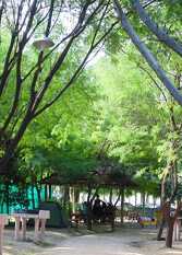 Foto 4 de Terralta Mini Cabañas Y Camping en Las Compuertas