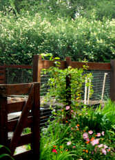 Foto 2 de la galería de Cabañas Caramelo II en Villa Ventana