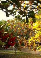 Foto 3 de la galería de Cabañas Caramelo II en Villa Ventana