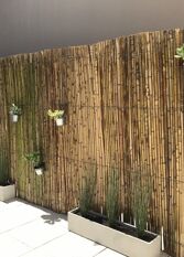 Foto 2 de la galería de Amulem Complejo de Departamentos en Las Grutas