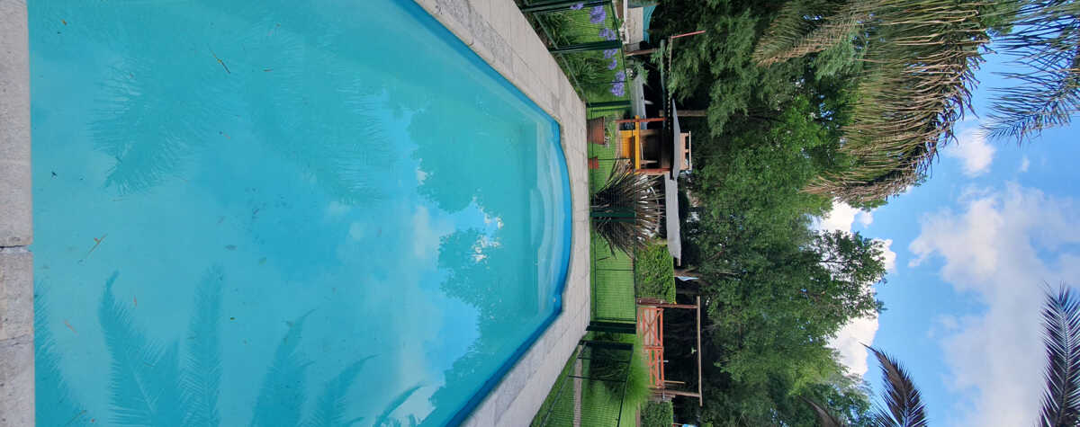 Foto principal de La Amarillita en La Granja