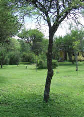 Foto 2 de la galería de Cabañas Arroyo Serrano en San Lorenzo