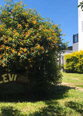 Foto 3 de la galería de Departamento Alevi en Colón