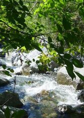 Foto 2 de la galería de La Rancherita Cabañas en Villa La Rancherita