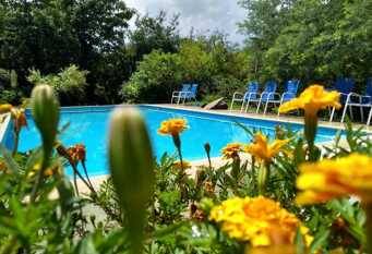 Foto 1 de la galería de La Rancherita Cabañas en Villa La Rancherita