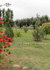 Foto 3 de la galería de Cabañas La Lubina en San Rafael