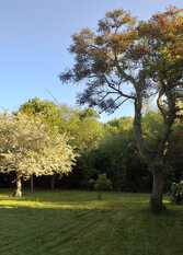 Foto 4 de LA SARITA - CANAL DEL ESTE en Delta del Tigre