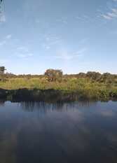 Foto 2 de la galería de LA SARITA - CANAL DEL ESTE en Delta del Tigre