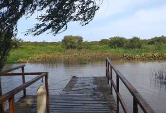 Foto 1 de la galería de LA SARITA - CANAL DEL ESTE en Delta del Tigre