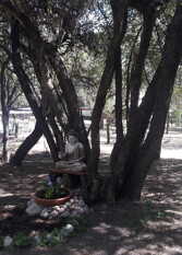 Foto 3 de la galería de Eco Veggie Hostel en San Javier