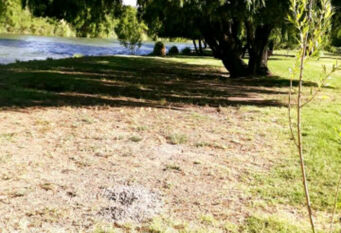 Foto 1 de la galería de Cabaña Indias del Valle en Valle Grande o Cañon del Atuel