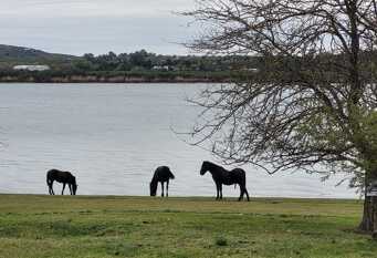 Foto 1 de la galería de Casa frente al lago en San Ignacio