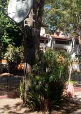 Foto 4 de Chalet en amplio terreno de pinos en San Bernardo del Tuyú