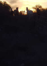 Foto 3 de la galería de Casa de Campo Estancia Dos Rios en Caminiaga