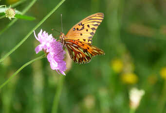 Foto 1 de la galería de Cabañas Finca Don Jose en San Rafael