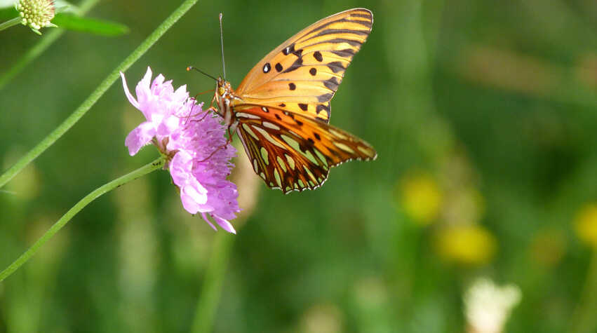 Foto principal de Cabañas Finca Don Jose en San Rafael