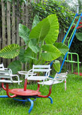 Foto 3 de la galería de Bungalows Don Carlos en San José