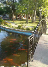 Foto 2 de Cabañas La Serena en San Rafael