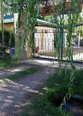 Foto 4 de Cabañas La Serena en San Rafael