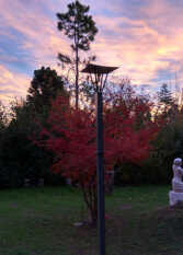 Foto 3 de la galería de Alojamiento Cuchi Corral en Juana Koslay