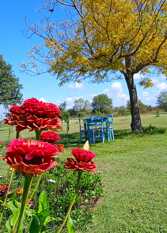 Foto 3 de la galería de La posada escondida en Esperanza
