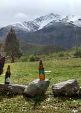 Foto 3 de la galería de La Araucaria-Cabaña Andina en Potrerillos