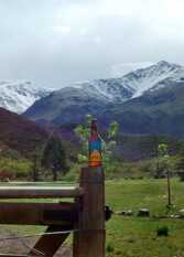 Foto 2 de la galería de La Araucaria-Cabaña Andina en Potrerillos