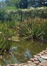 Foto 3 de la galería de Casa de campo en San Roque