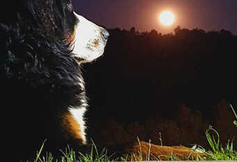 Foto 1 de la galería de Casa en S.M.Andes con Piscina Climatizada en San Martín De Los Andes