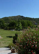 Foto 3 de la galería de Hosterìa Los Naranjos en Potrero De Los Funes