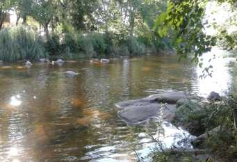 Foto 1 de la galería de Cabañas Anahuak en Mina Clavero