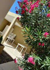 Foto 3 de la galería de Departamentos Güemes en Villa Carlos Paz