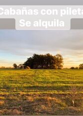 Foto 2 de la galería de Las Moras, cabañas de campo , Bolívar en San Carlos De Bolivar