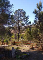 Foto 4 de Cabañas & Loft Terrazas del Pinar en Villa Ciudad de América