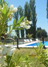 Foto 2 de la galería de Alamedas Del Sur en San Rafael