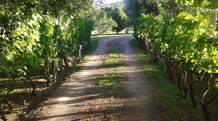 Foto principal de Cabañas El Renacer en Lunlunta