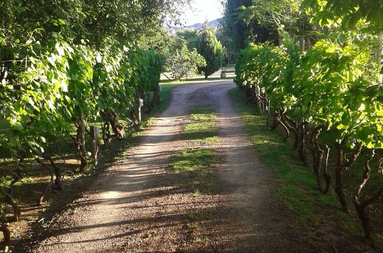 Foto principal de Cabañas El Renacer en Lunlunta