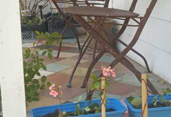 Foto 1 de la galería de Chalet Las Doritas en La Cumbre