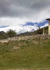 Foto 2 de la galería de El Pinar en La Ventana - Cabañas en Potrerillos
