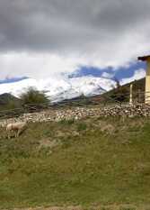 Foto 2 de la galería de El Pinar en La Ventana - Cabañas en Potrerillos