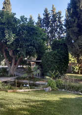 Foto 2 de la galería de CASA DE CAMPO LOS CORRALITOS en Corralitos